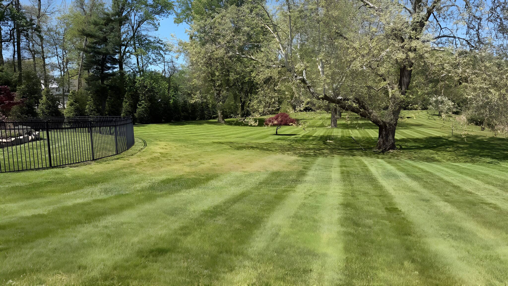 Tree-lined estate grounds
