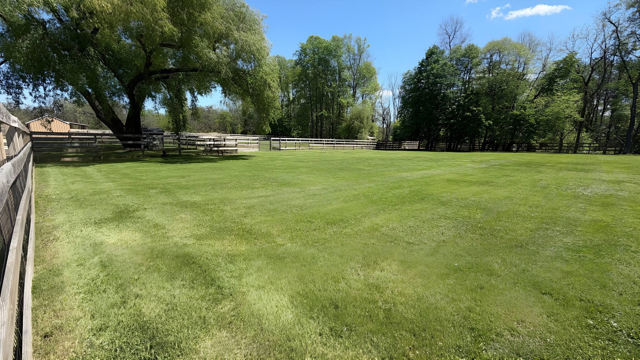 Estate grounds with fencing