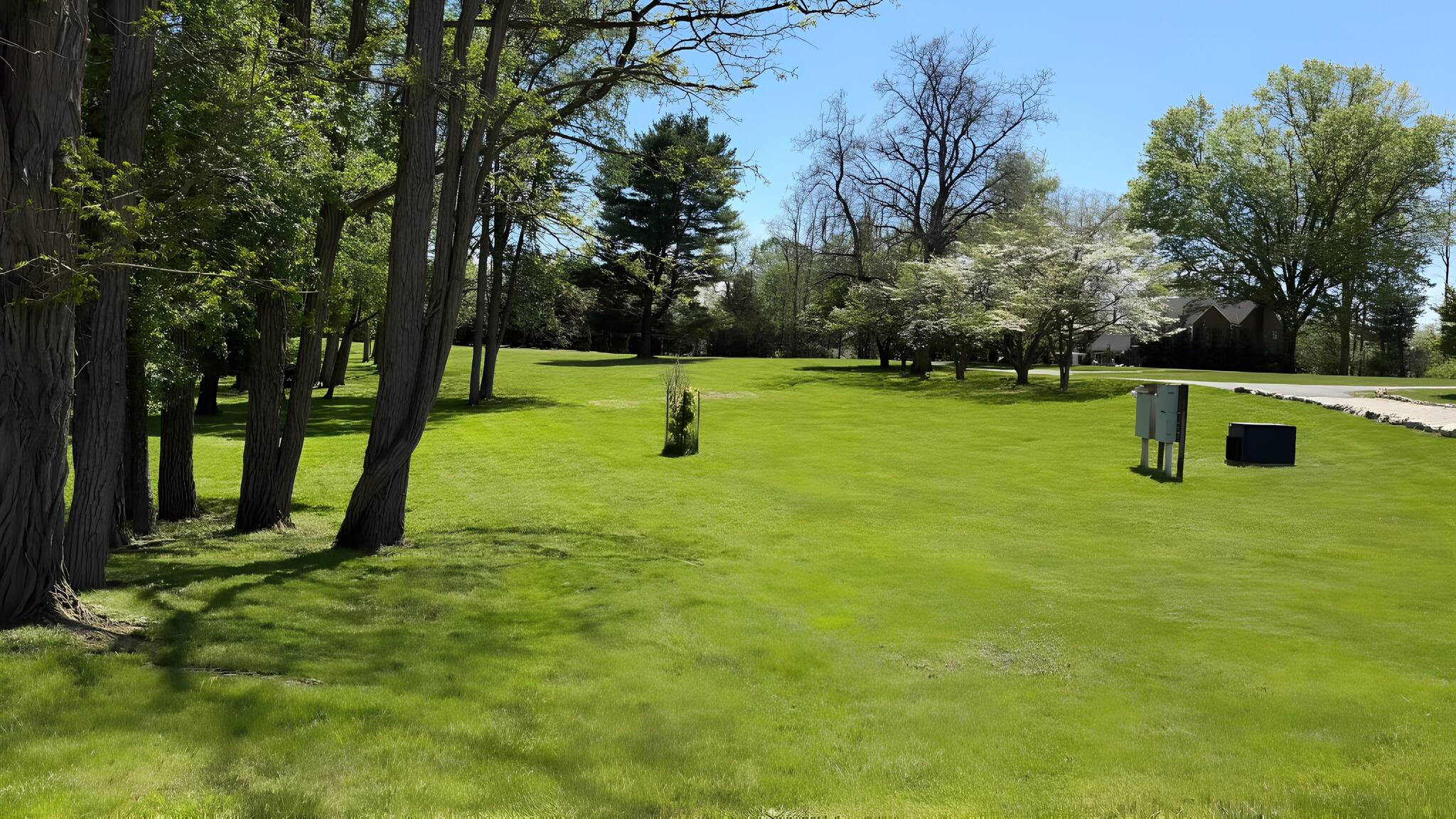 Open estate landscape