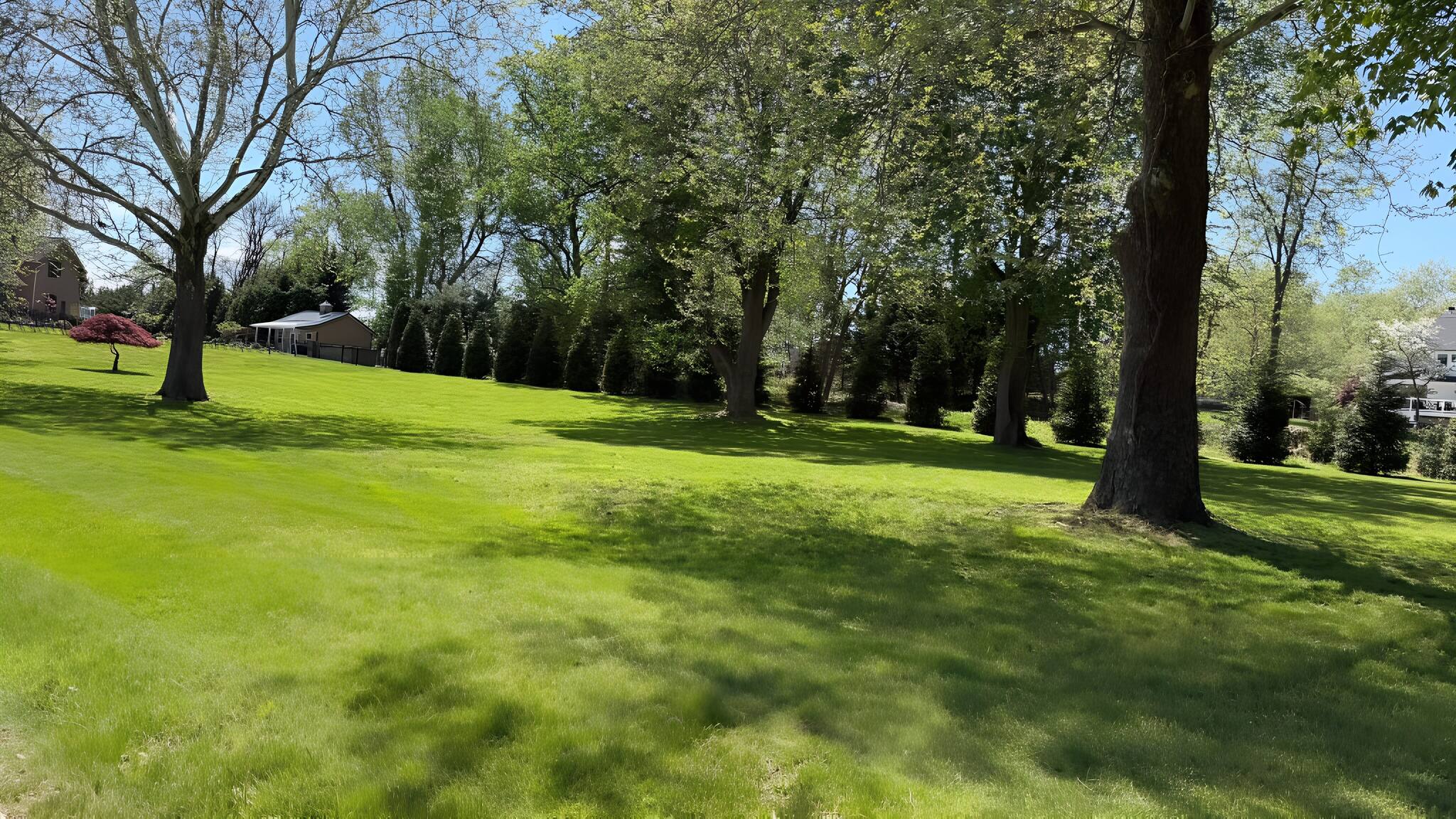 Wooded estate landscape at 17 Windsor Estate — private luxury filming location Colts Neck NJ
